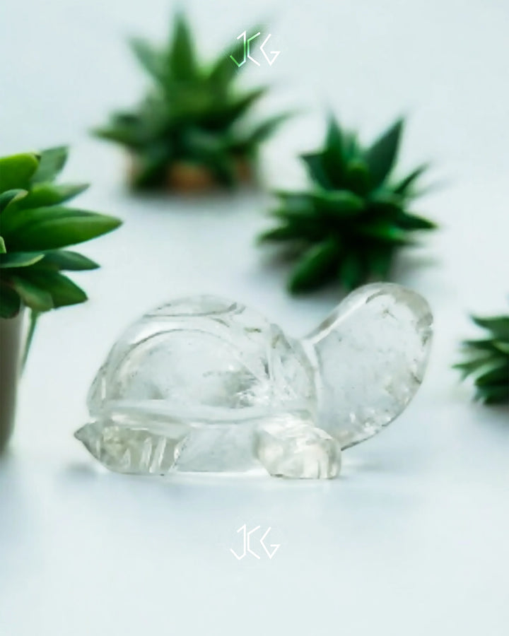 Crystal Turtles