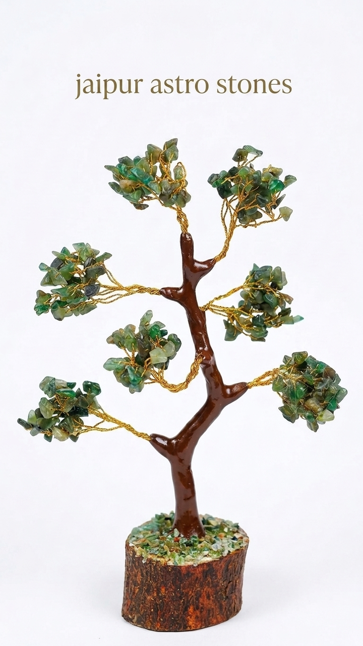 Green Jade Tree