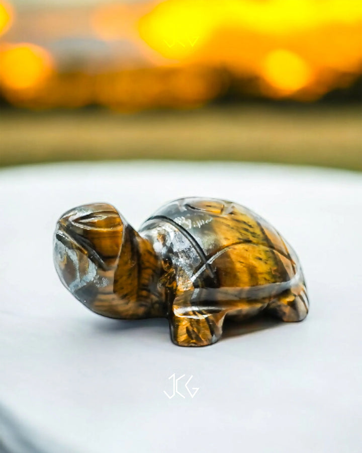 Yellow Tiger Eye Turtle