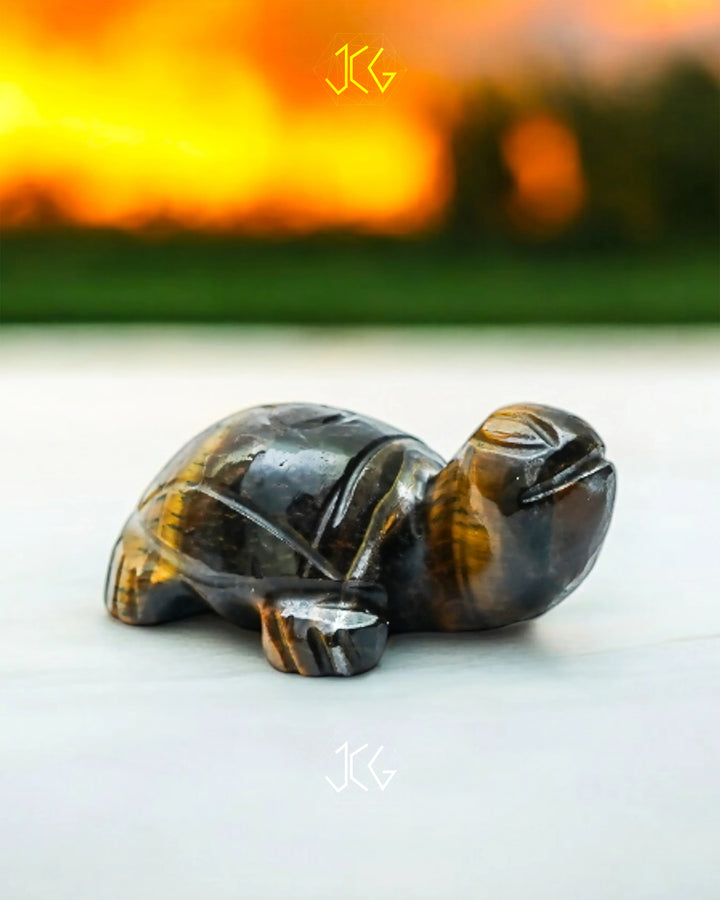 Yellow Tiger Eye Turtle